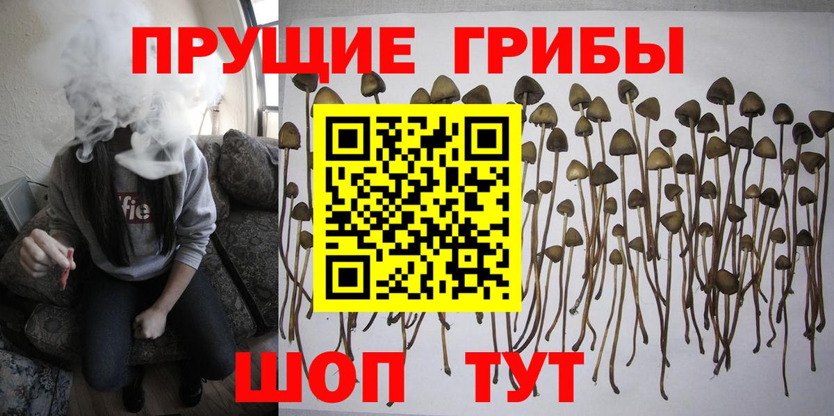 Сланцы  Галлюциногенные грибы MAGIC MUSHROOMS  Вход с VPN 