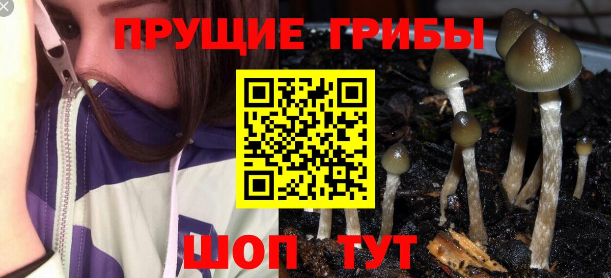 Галлюциногенные грибы ЛСД Сланцы
