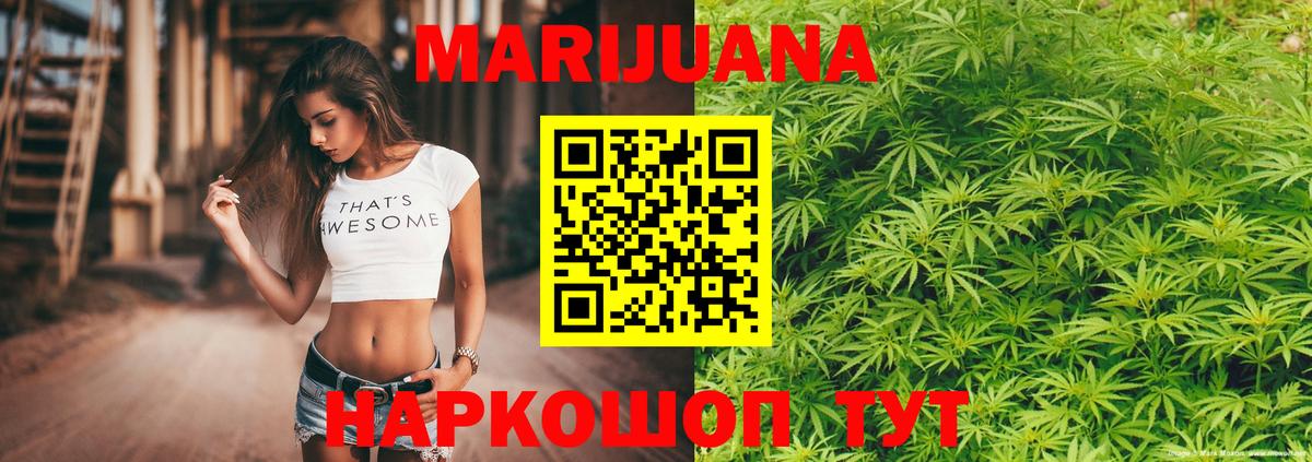 Канабис семена  Шишки марихуана план  Конопля ГИДРОПОН  Сланцы  Вход с VPN 
